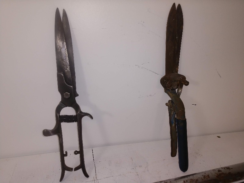 lot 21 image: Vintage Garden Hand Shears Grass Clippers and Wheat Trimmer