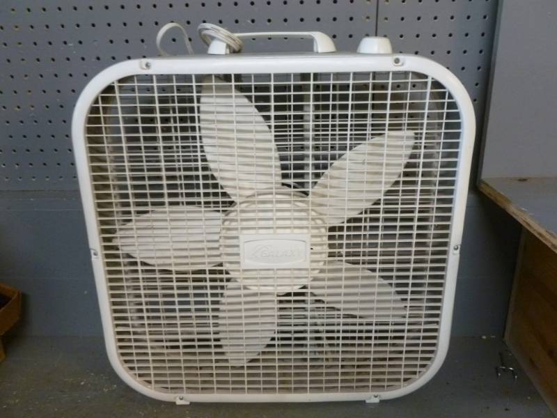 Fan