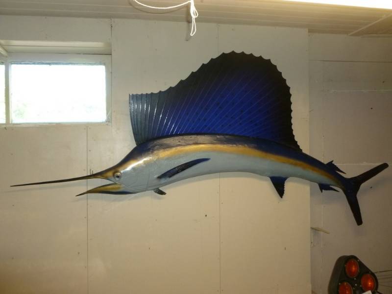 Sailfish Mount