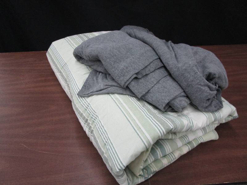 lot 146 image: Greenish Twin Size Comfortor and Sheet Set