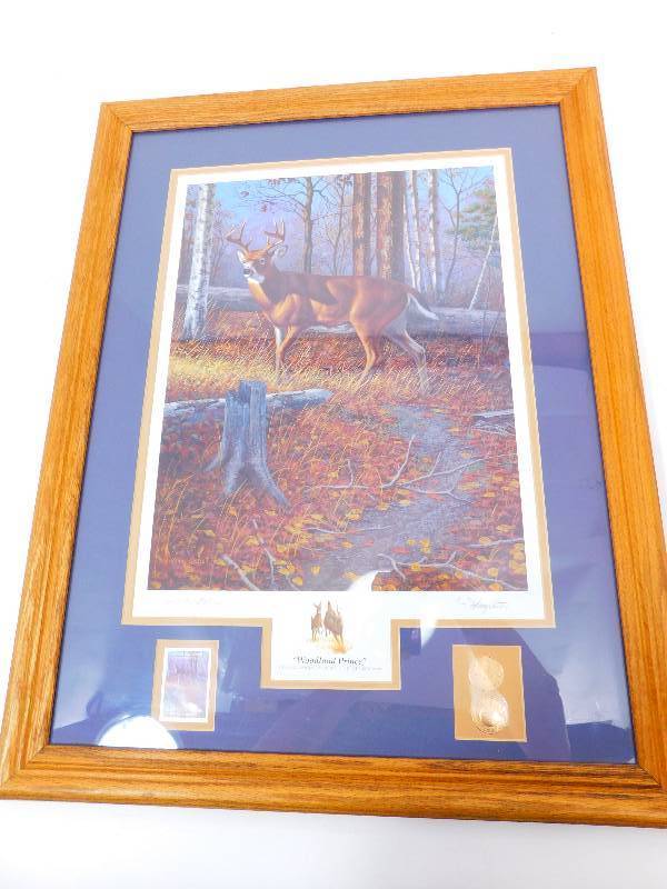 lot 69 image: Framed & Matted Picture Of Woodland Prince