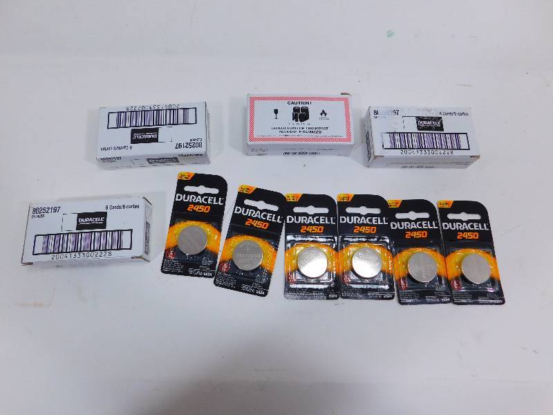 lot 81 image: Duracell DL2450B Batteries