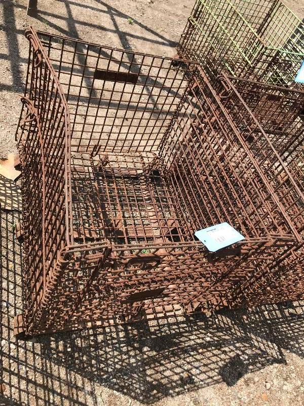 Wire Basket