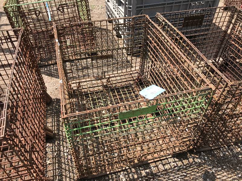 Wire Basket