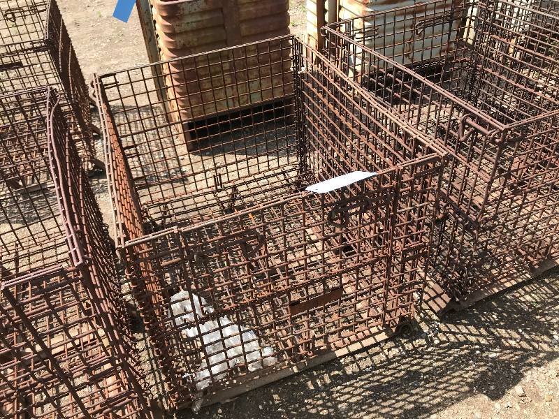 Wire Basket