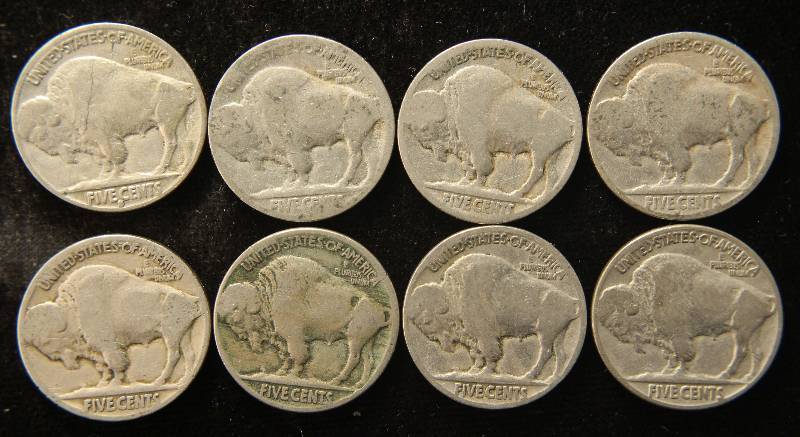 GROUP OF 8 US BUFFALO NICKELS