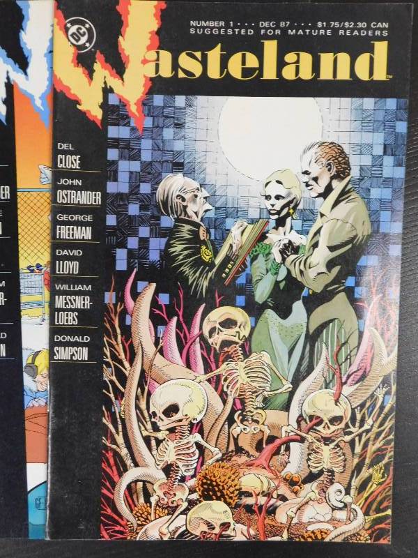 lot 43 image: DC Wasteland Comic Books