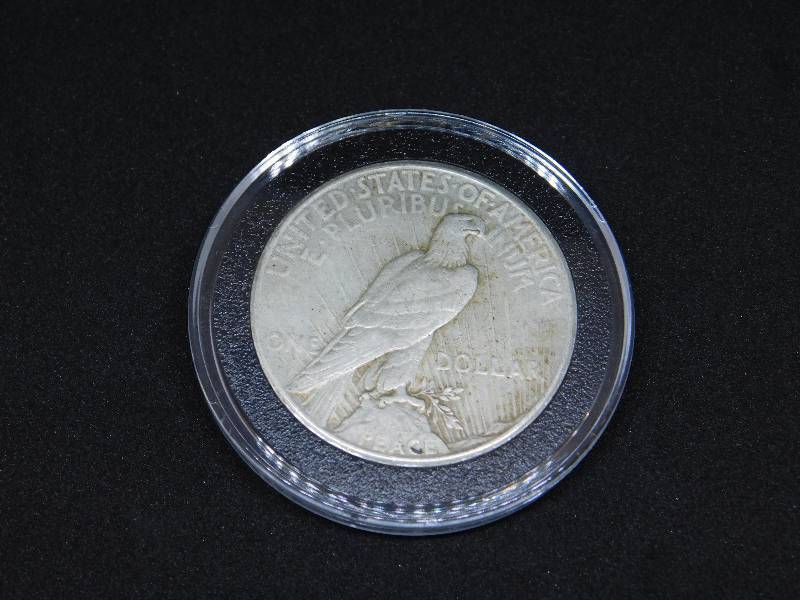 lot 29 image: 1925 Peace Silver Dollar in Air-Tite Holder