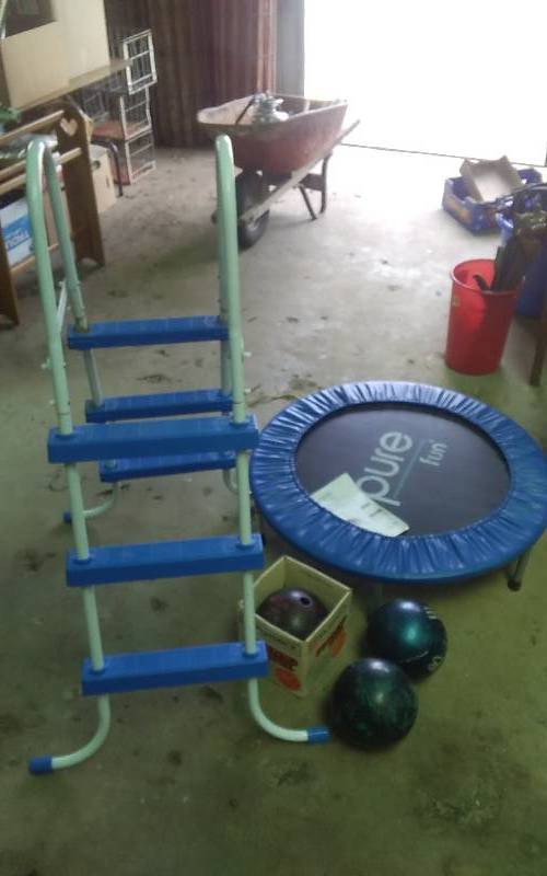 lot 107 image: 2-Sided Pool Ladder, Pure Fun Personal Trampoline, 3-Bowling Balls