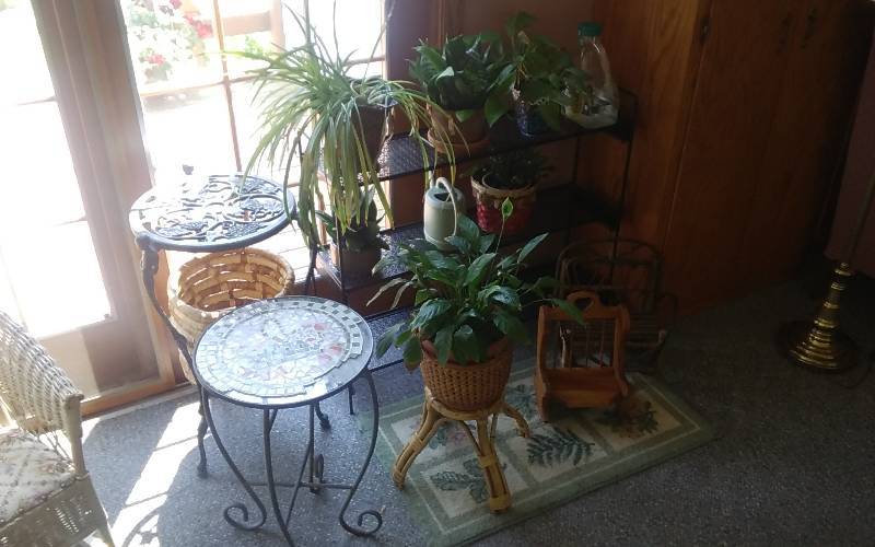 lot 142 image: Plant Shelf 36x9x31, Plants, Pots, Stands