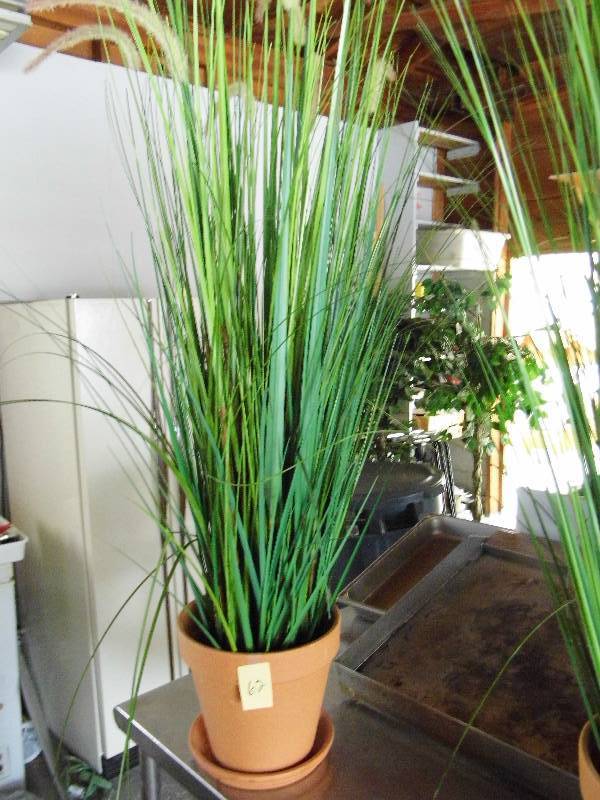 lot 62 image: Artificial Plant