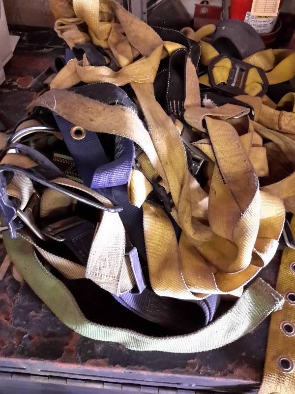lot 125 image: Lot of 5 Safety Harnesses