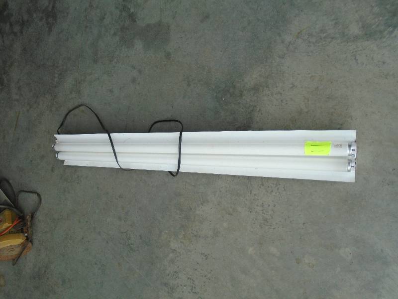 Light