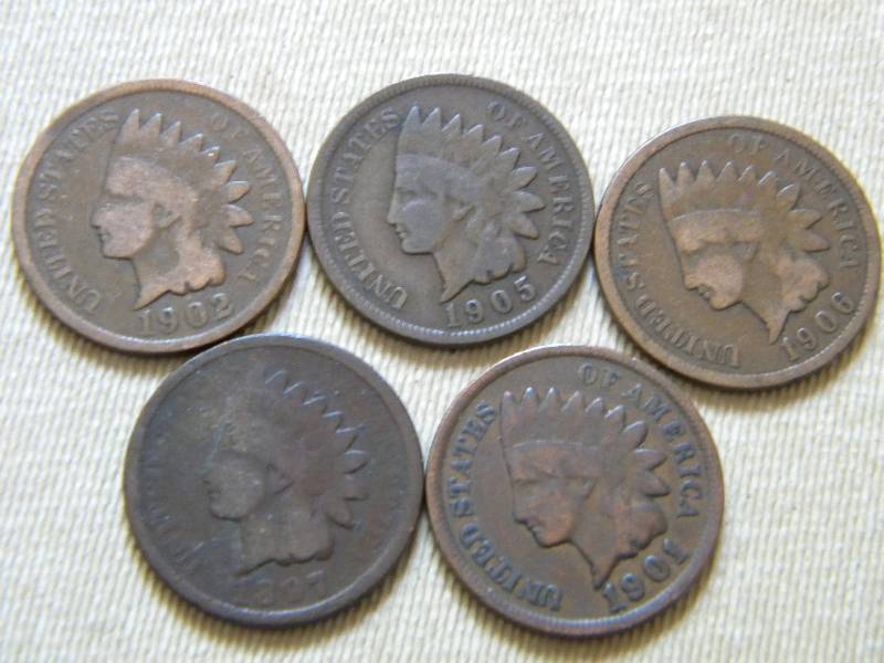 5 Indian Head Pennies