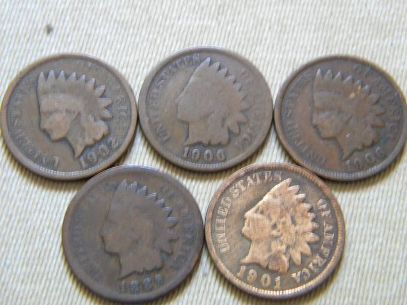 5 Indian Head Pennies