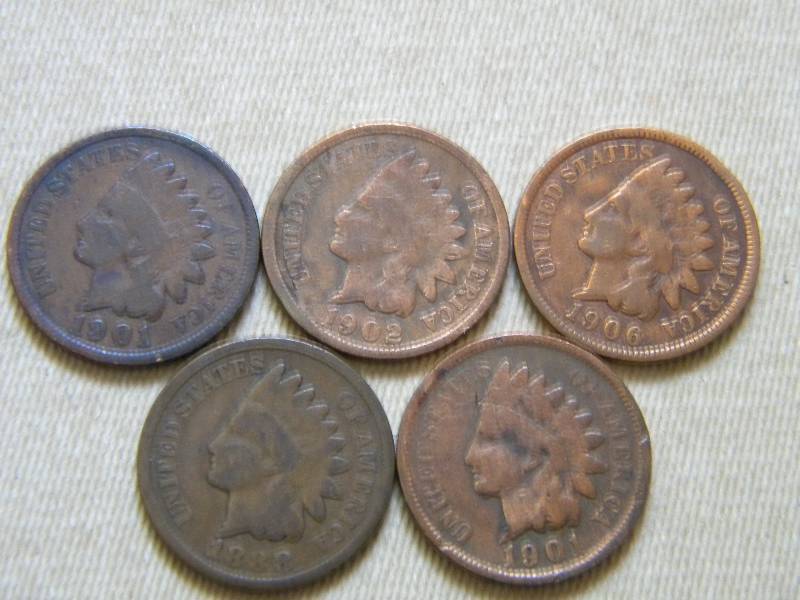 5 Indian Head Pennies