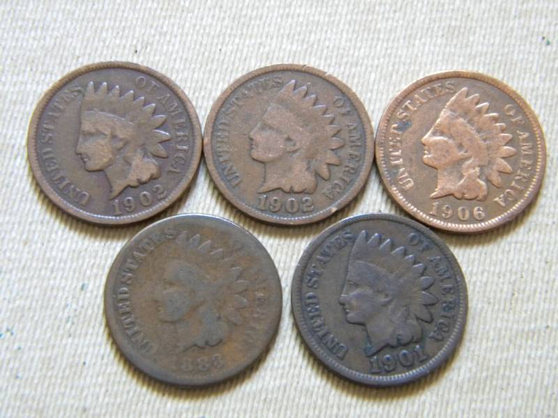 5 Indian Head Pennies