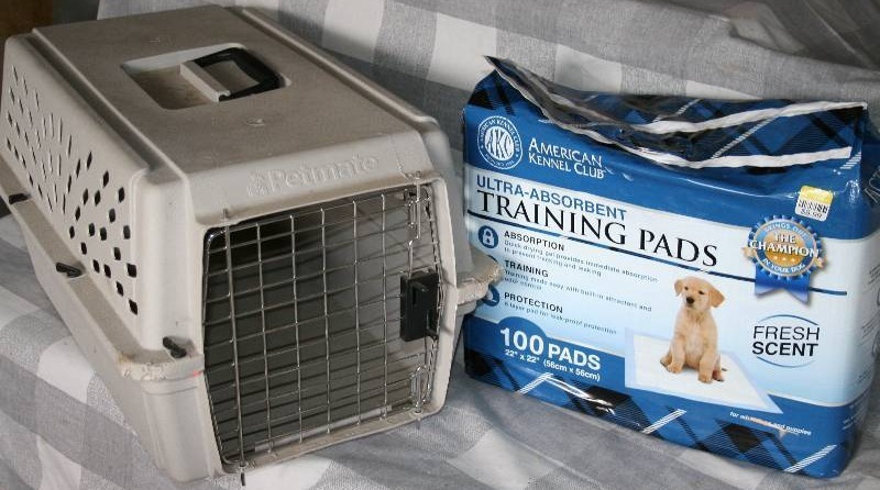 Pet Carrier and Puppy Training Pads