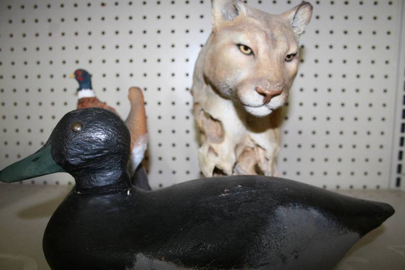 Animal Figurines