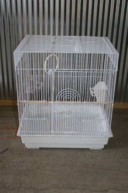 Bird Cage