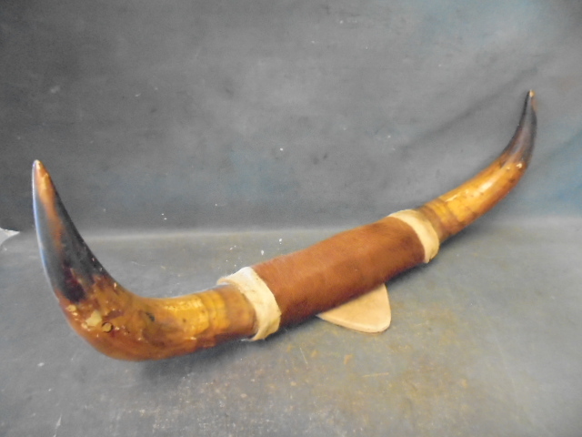 lot 25 image: Bull Horns and Deer Antlers