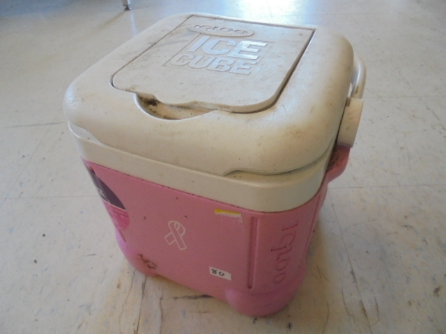lot 80 image: Igloo Cooler