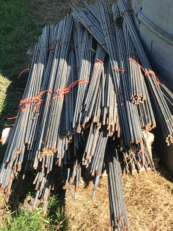lot 4A image: (500) Steel Tree Stakes