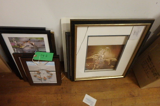 (9) FramesPrints