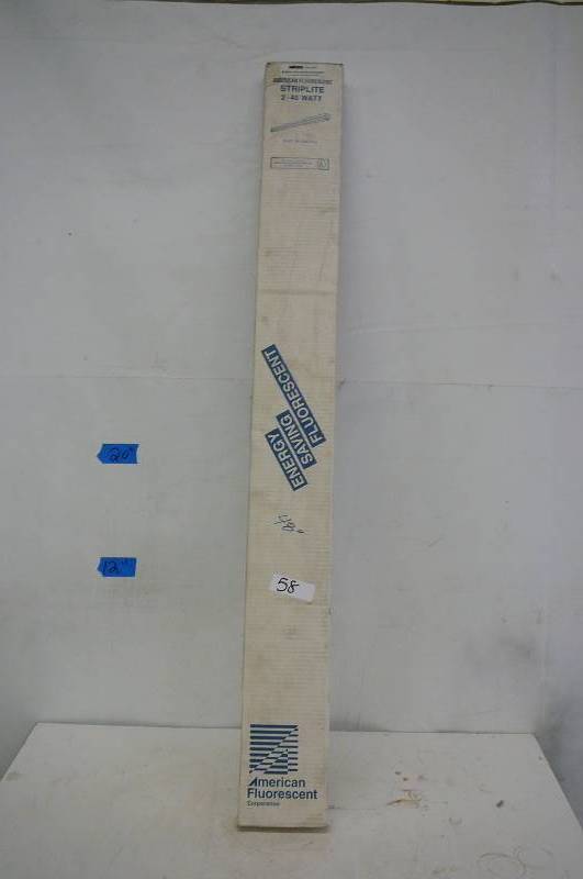 lot 58 image: Fluorescent Striplight
