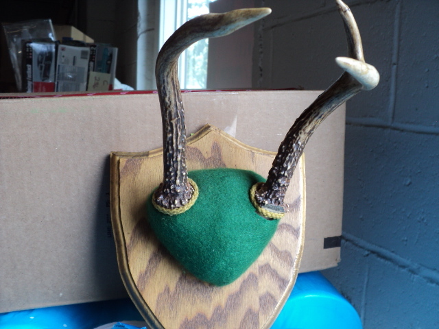 trophy horns...