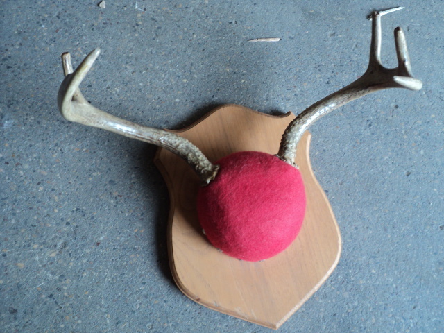 trophy horns...