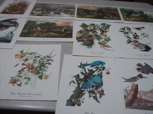17 James J. Audubon prints and 4 Cu...