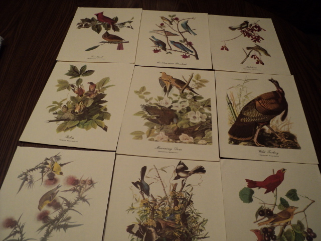 17 James J. Audubon prints and 4 Cu...
