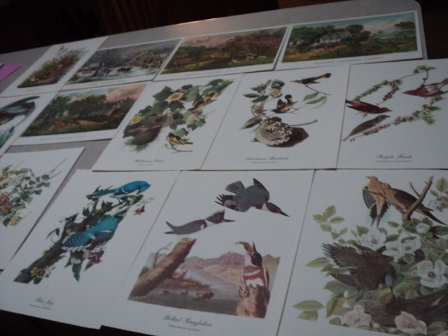 17 James J. Audubon prints and 4 Cu...
