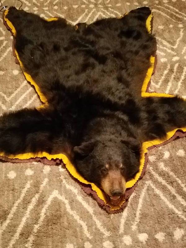 BLACK BEAR SKIN RUG