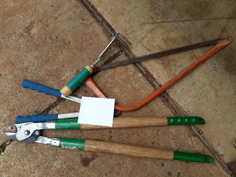 lot 107 image: Lot of Yard Tools