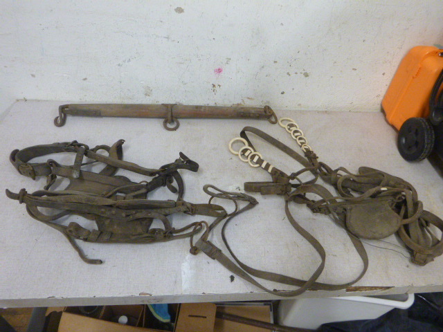 lot 17 image: Antique Horse Reins
