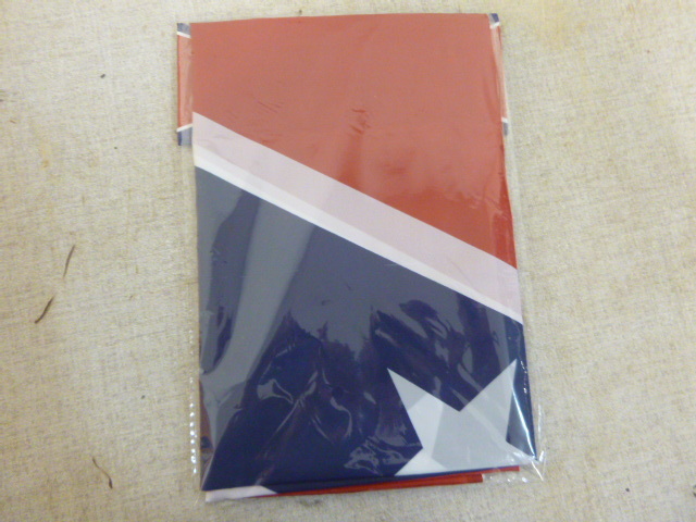 lot 38 image: NEW Flag