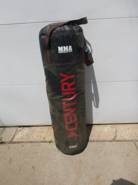 lot 19 image: Century Punching Bag