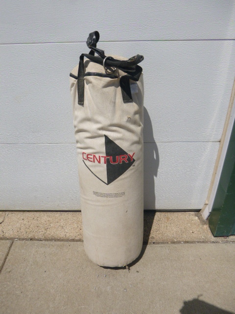 lot 21 image: Century Punching Bag