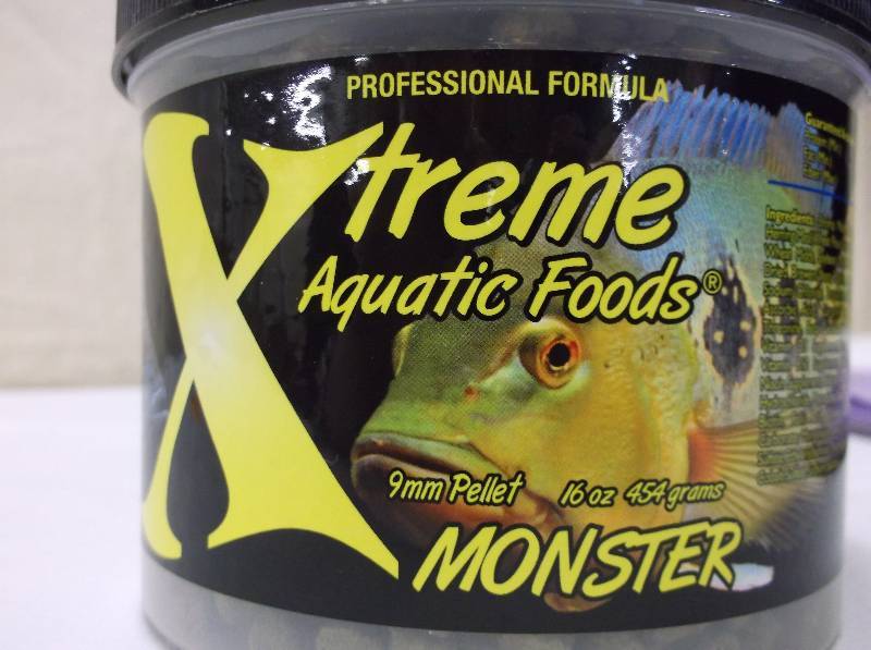 FISH FOOD