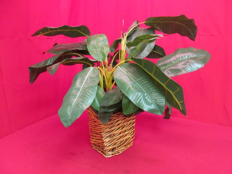 lot 54 image: Artificial Potted Plant 28 Tall - Woven Basket Pot