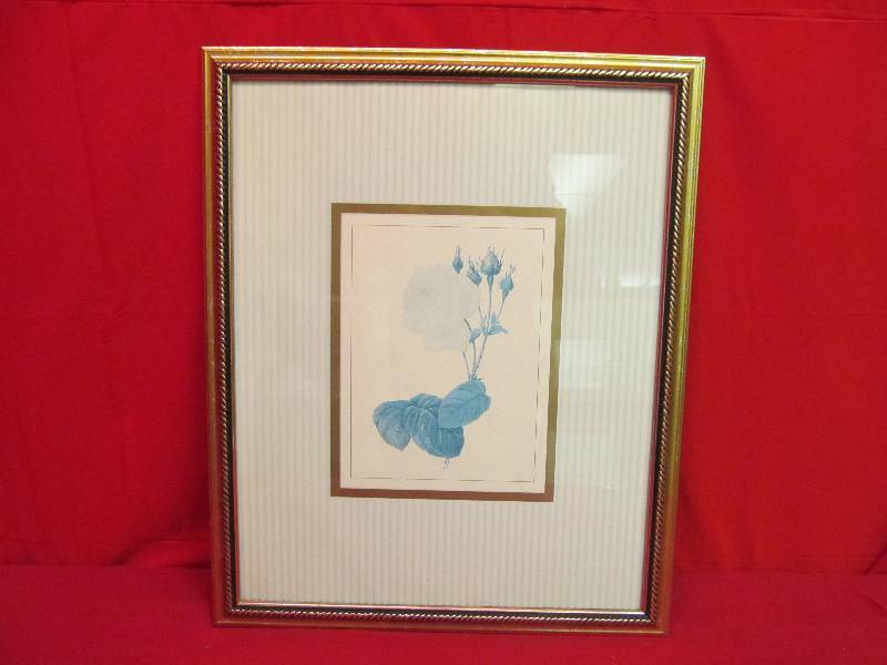 lot 78 image: White Rose Picture - Framed - 18x 22