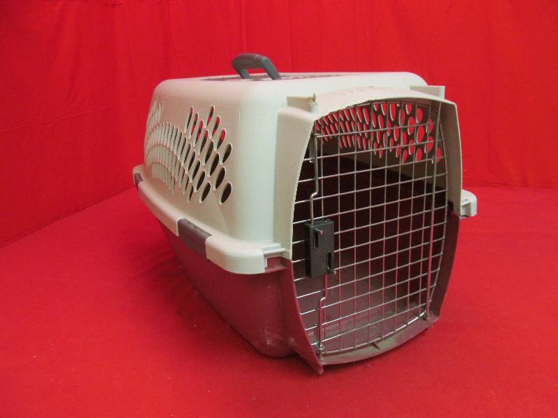 lot 152 image: pet taxi