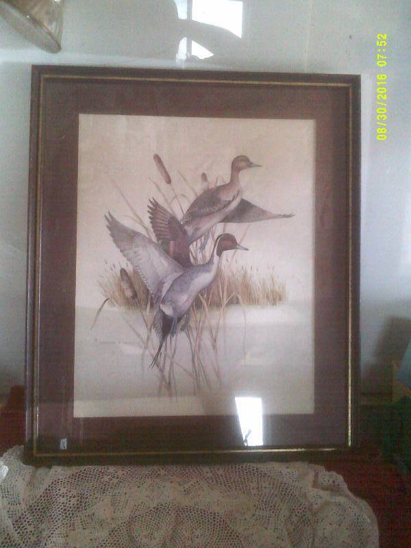 lot 53 image: COLLECTIBLE WATER FOWL PICTURE