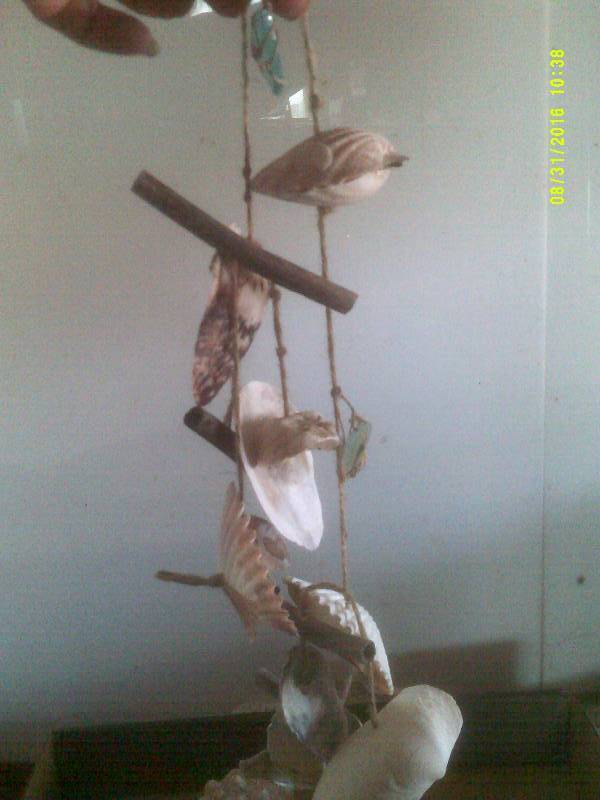 lot 66 image: SEASHELLS 1 SHELL WIND CHIME