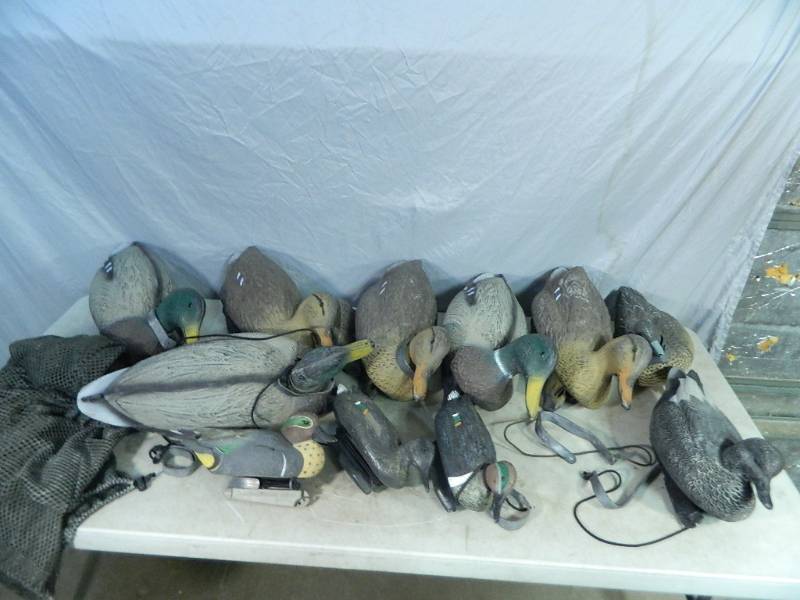 lot 93 image: 11 Duck Decoys with Bag