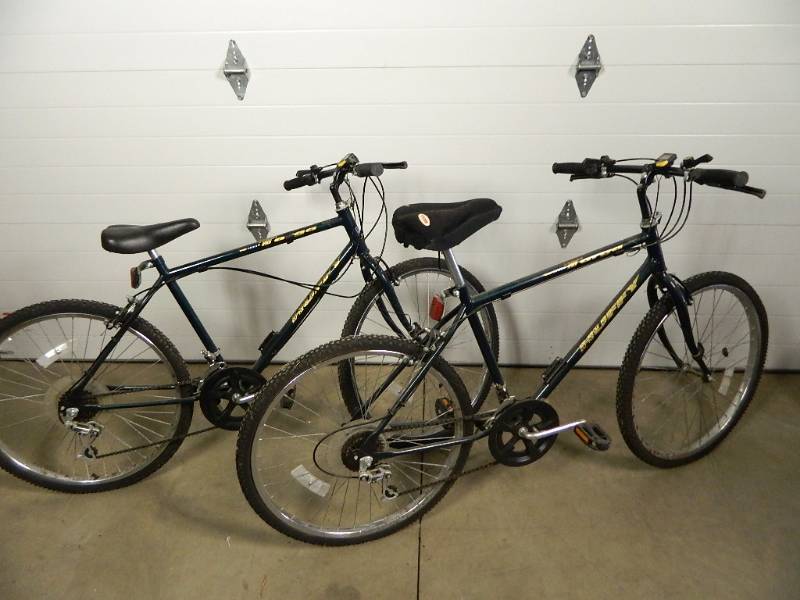 lot 15 image: Pair of 10 Speed Bikes