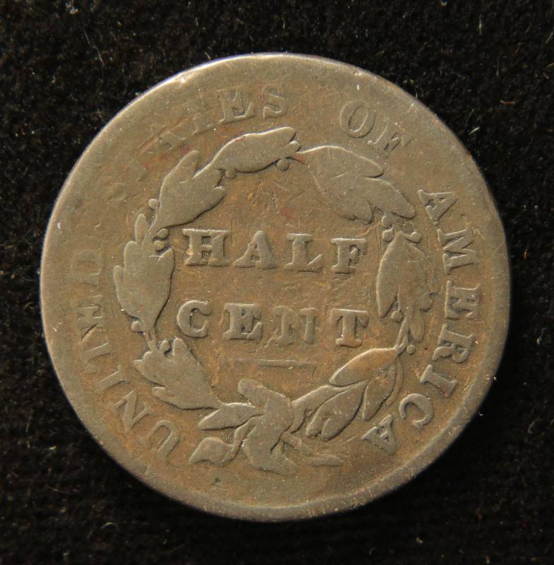 1828 US HALF CENT 12 STARS RARE - Estimated survival of 600 pieces