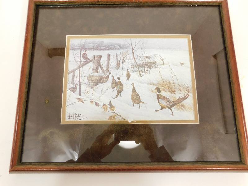 lot 37 image: Framed & Matted Picture Of Thirteen Pheasants In The Snow